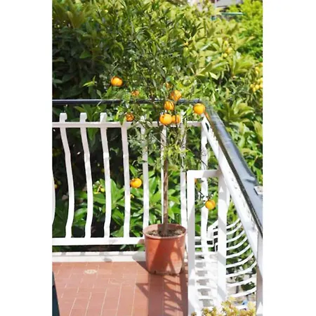 Casa Celeste-3